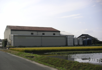 �������������