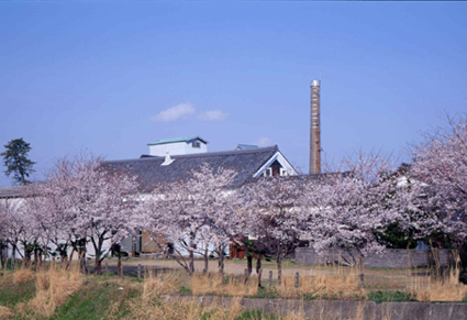 ��ƣ��¤�������