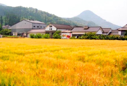 Ϸ����¤�������