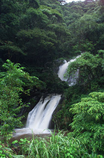 ����󥬥�����