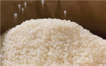 ����Υե��ǥ�����󥸡���